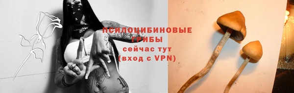 дживик Верхний Тагил
