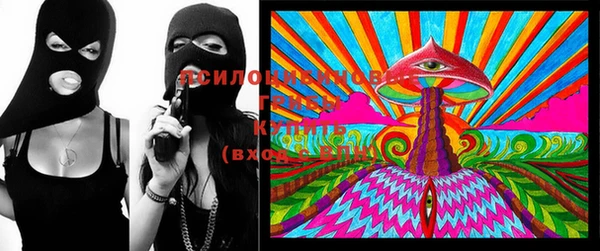 стаф Волосово