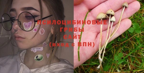 мдпв Бугульма