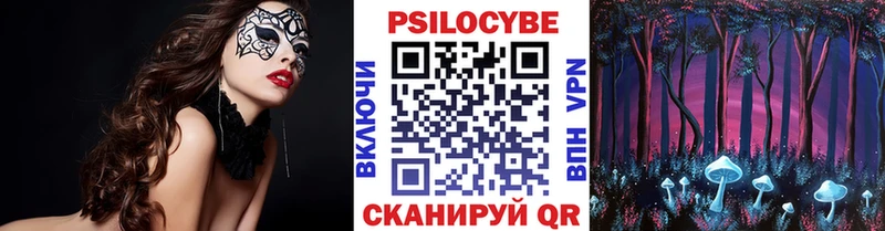 купить наркотик  Волчанск  Псилоцибиновые грибы Psilocybe 