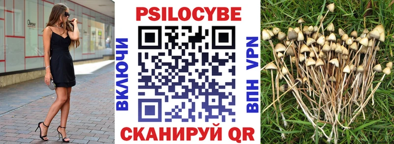 Галлюциногенные грибы мицелий Волчанск